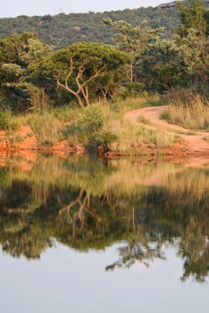 Mabalingwe water hole